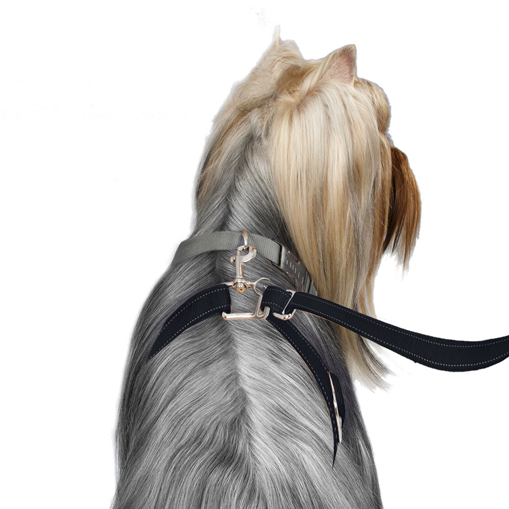 ThunderLeash No-Pull Dog Leash – ThunderShirt1