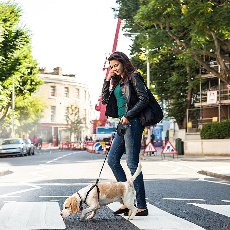 dial-a-distance retractable dog leash on busy street