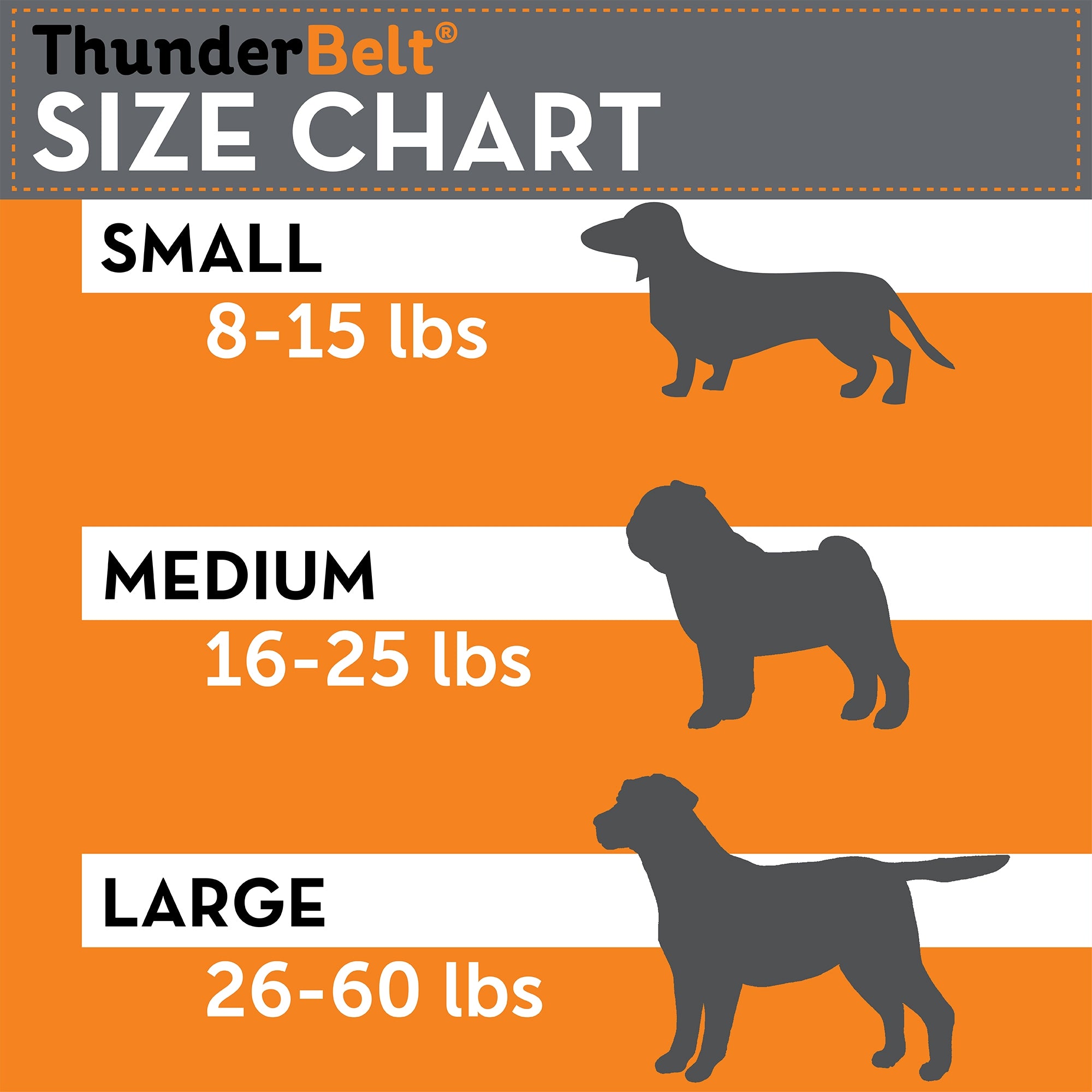 ThunderBelt for Dogs Safety Belt Size Chart | T16-BeltGrey-S | T16-BeltGrey-M | T16-BeltGrey-L