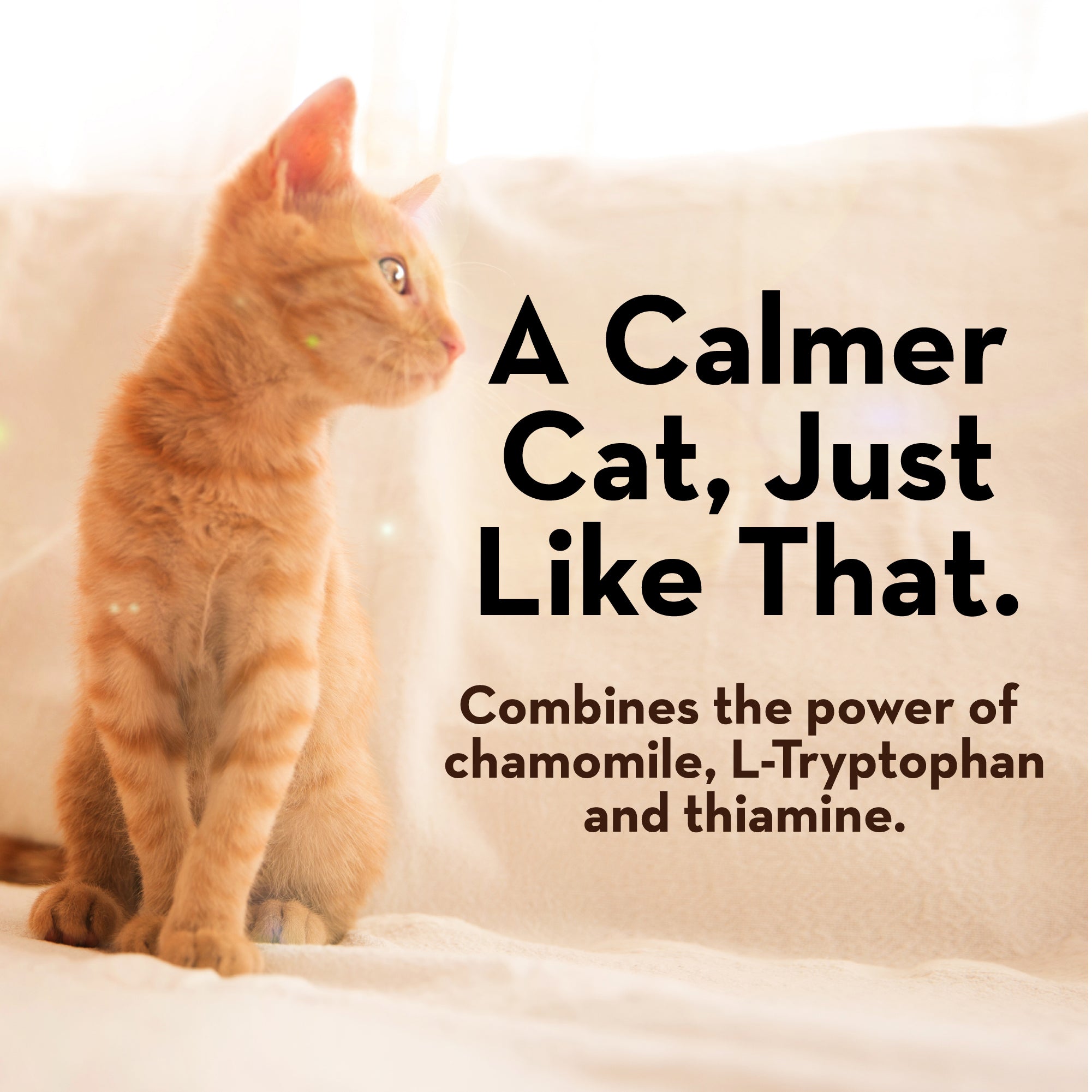 ThunderShirt for Cats - Calming Wrap