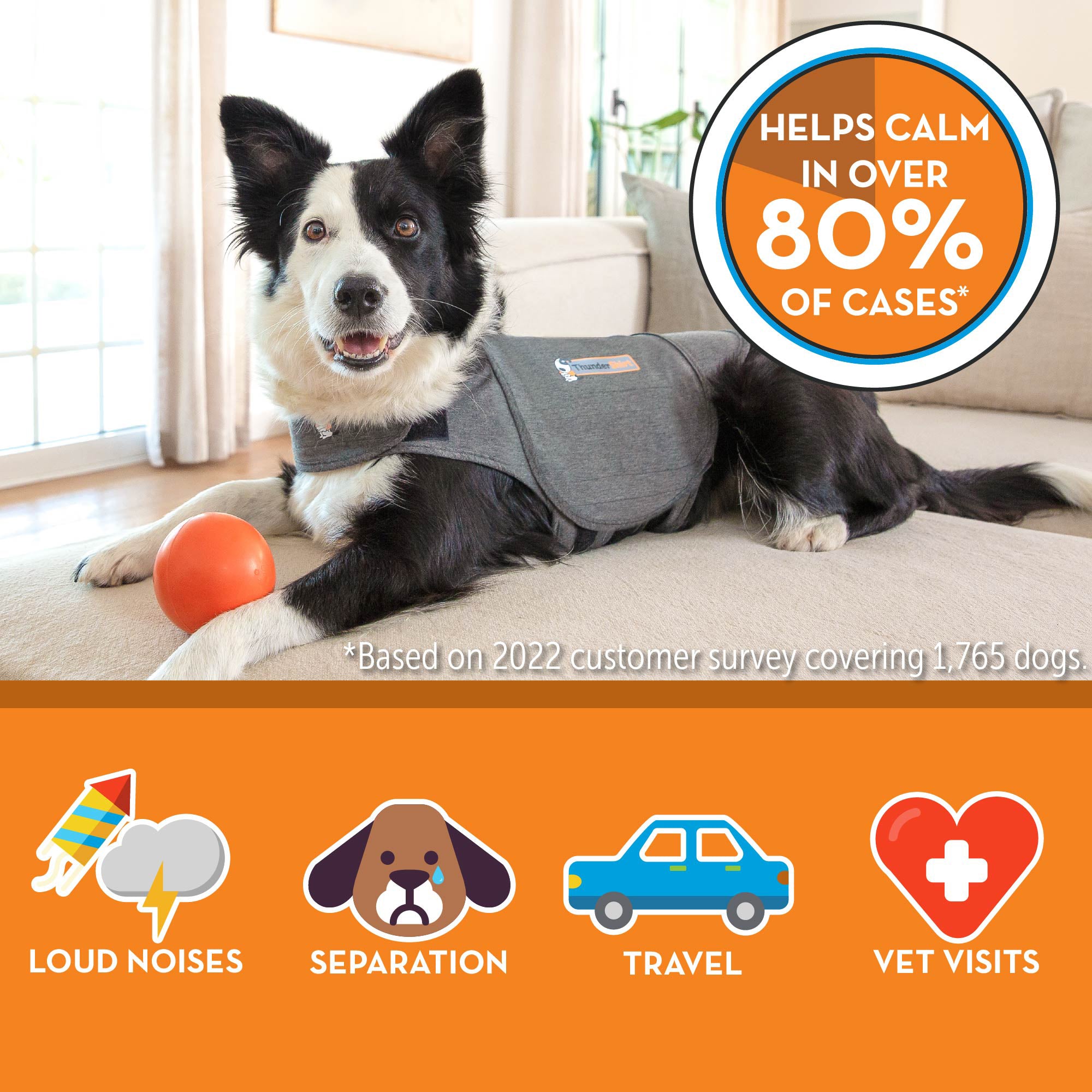 ThunderShirt Classic Dog Anxiety Jacket