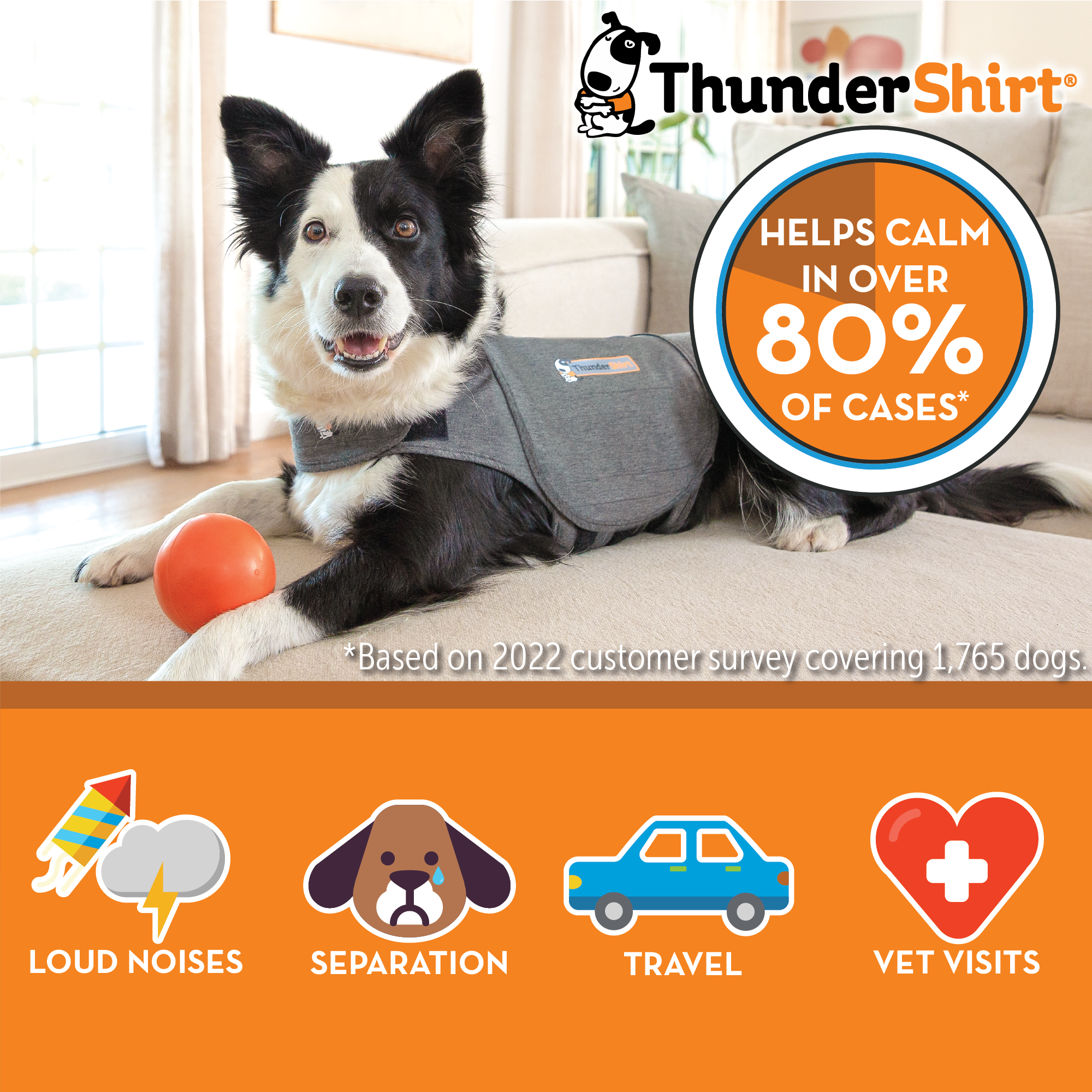ThunderShirt With Free ThunderWunders Calming Chews