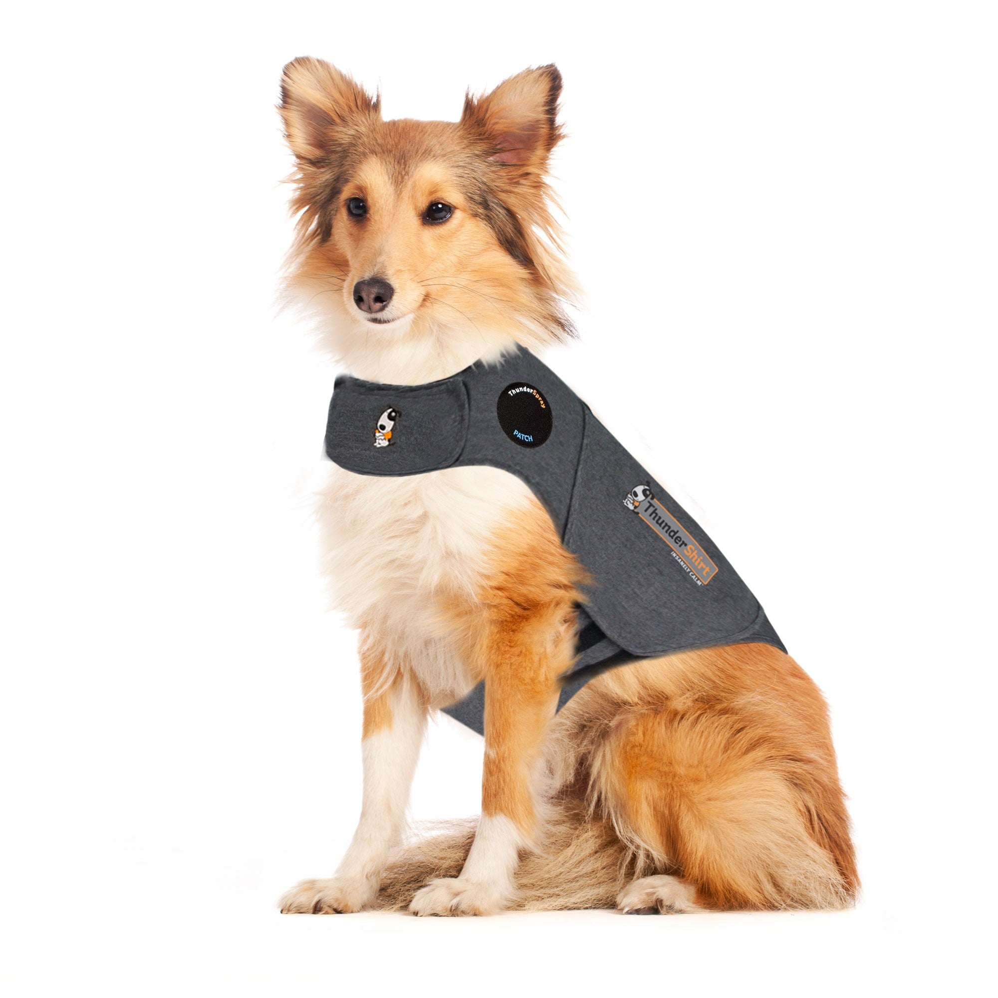 ThunderShirt Dog Anxiety Treatment Jacket, Gray, L