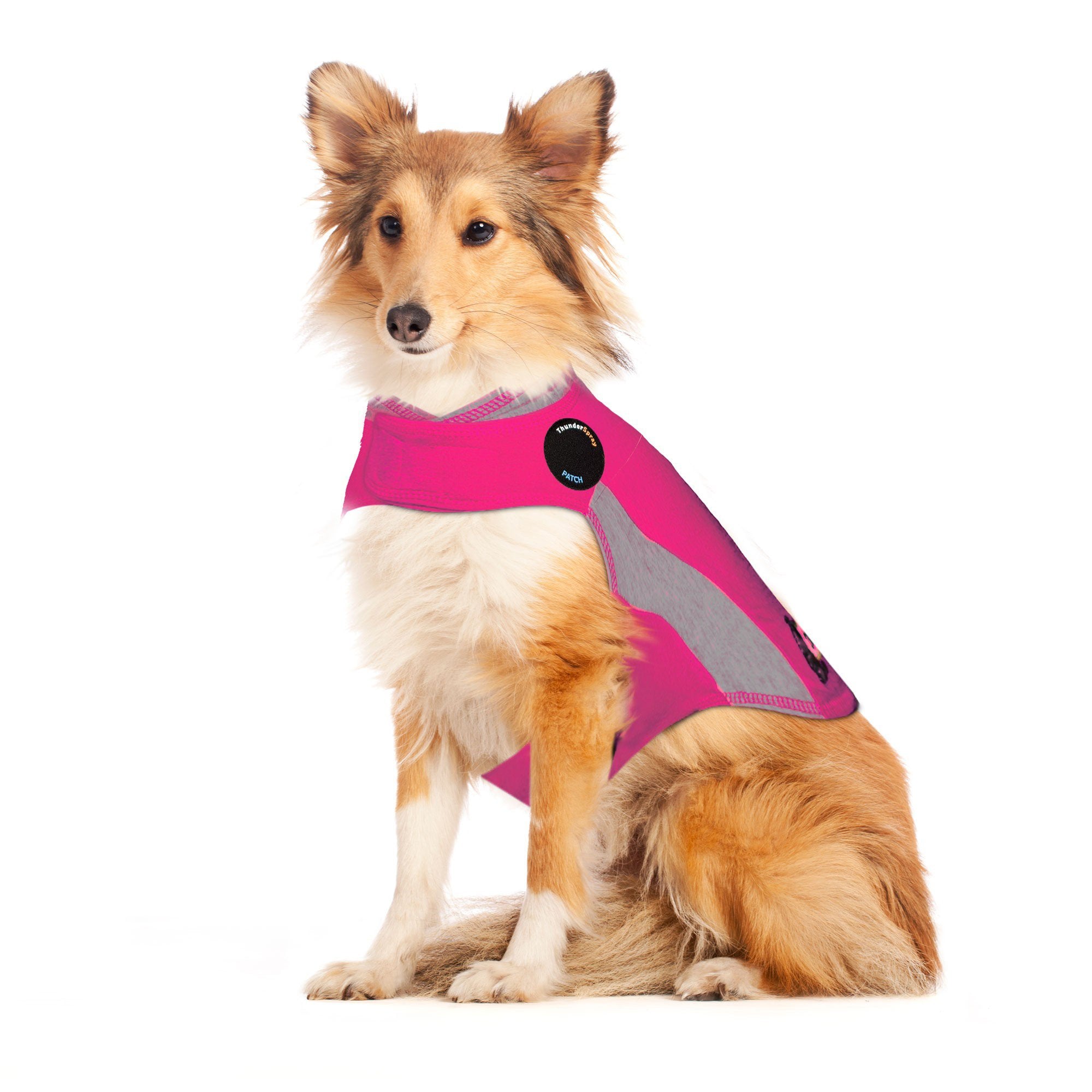 Separation Anxiety Jacket Thunder Sweaters For Dogs ThunderShirt