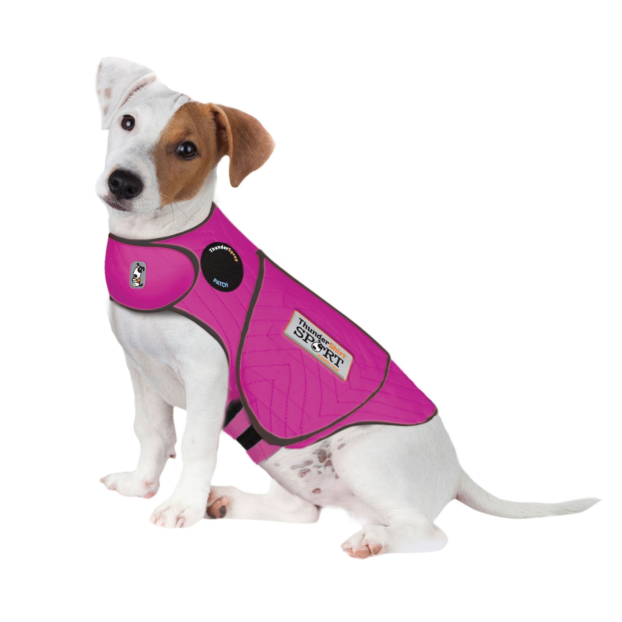 Dog Harness Thundershirt Petsmart Dog Coats Dog Collar Therapy Dog