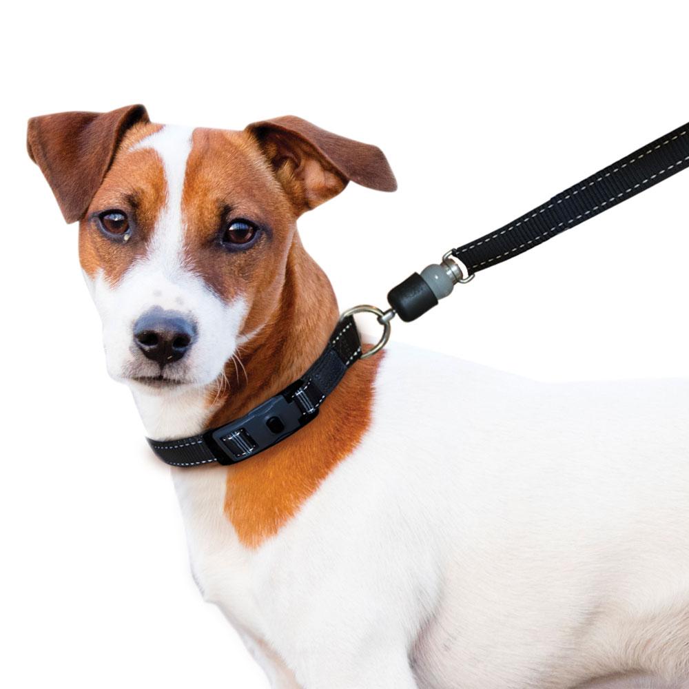 Zalebot Magnetic Dog Leash Is Suitable For Any Dog - Pet Magnetic Rope with  Easy Attachment, Compatible with Any Collar or Harnesses